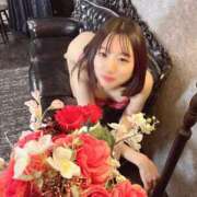 ヒメ日記 2025/05/26 10:51 投稿 なお The White