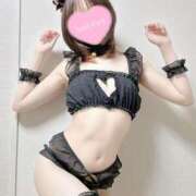 なお 猫の日🐱 The White