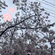 ヒメ日記 2025/04/21 13:03 投稿 こころ 秋葉原コスプレ学園in仙台