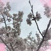 ヒメ日記 2026/04/05 15:23 投稿 こころ 秋葉原コスプレ学園in仙台