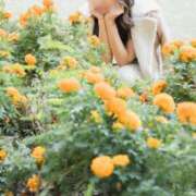 ヒメ日記 2025/02/06 11:45 投稿 月嶋 穂の花 人妻セレブ宮殿