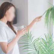 ヒメ日記 2025/02/23 07:40 投稿 月嶋 穂の花 人妻セレブ宮殿