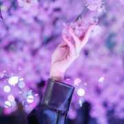 ヒメ日記 2025/03/14 14:06 投稿 月嶋 穂の花 人妻セレブ宮殿