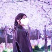 ヒメ日記 2025/03/17 09:45 投稿 月嶋 穂の花 人妻セレブ宮殿