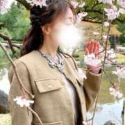 ヒメ日記 2025/04/01 06:00 投稿 月嶋 穂の花 人妻セレブ宮殿