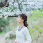 ヒメ日記 2025/04/02 18:30 投稿 月嶋 穂の花 人妻セレブ宮殿