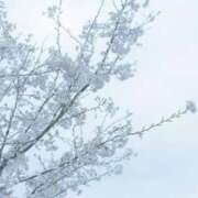 ヒメ日記 2025/04/05 11:28 投稿 月嶋 穂の花 人妻セレブ宮殿