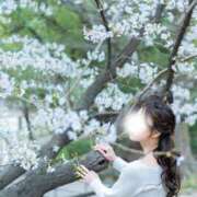 ヒメ日記 2025/04/13 07:02 投稿 月嶋 穂の花 人妻セレブ宮殿