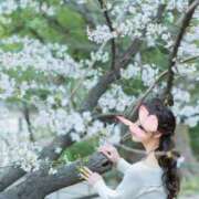 ヒメ日記 2025/04/14 20:31 投稿 月嶋 穂の花 人妻セレブ宮殿