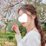 ヒメ日記 2025/06/15 06:00 投稿 月嶋 穂の花 人妻セレブ宮殿