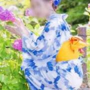 ヒメ日記 2025/08/22 06:00 投稿 月嶋 穂の花 人妻セレブ宮殿