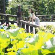 ヒメ日記 2025/10/10 11:45 投稿 月嶋 穂の花 人妻セレブ宮殿