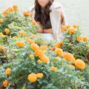 ヒメ日記 2025/10/25 08:02 投稿 月嶋 穂の花 人妻セレブ宮殿