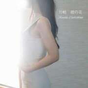 ヒメ日記 2025/10/31 11:01 投稿 月嶋 穂の花 人妻セレブ宮殿