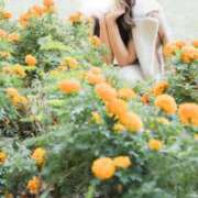 ヒメ日記 2026/01/29 18:00 投稿 月嶋 穂の花 人妻セレブ宮殿