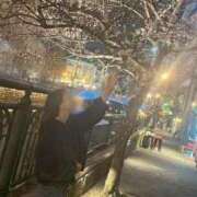 ヒメ日記 2026/02/04 20:16 投稿 月嶋 穂の花 人妻セレブ宮殿