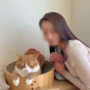 ヒメ日記 2026/02/17 12:17 投稿 月嶋 穂の花 人妻セレブ宮殿