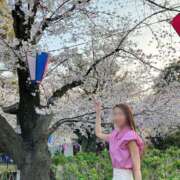 ヒメ日記 2026/03/28 08:02 投稿 月嶋 穂の花 人妻セレブ宮殿