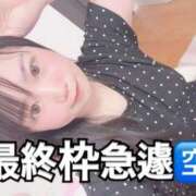 ヒメ日記 2025/10/04 17:40 投稿 ニモ パリス雄琴店