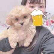 ヒメ日記 2025/11/15 14:42 投稿 ニモ パリス雄琴店