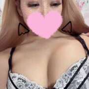 ヒメ日記 2025/03/17 15:02 投稿 めい♡ パリス雄琴店