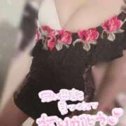 ヒメ日記 2025/03/29 15:23 投稿 めい♡ パリス雄琴店