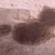 ヒメ日記 2025/07/10 18:02 投稿 めい♡ パリス雄琴店