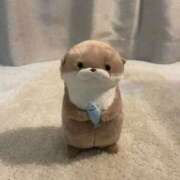 ヒメ日記 2025/03/13 21:05 投稿 朝比奈唯 パリス雄琴店