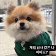 ヒメ日記 2025/05/06 23:02 投稿 朝比奈唯 パリス雄琴店