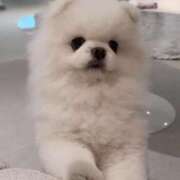 朝比奈唯 今年もお世話になりました。 マリンマリン(雄琴)