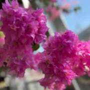 ヒメ日記 2025/03/18 22:52 投稿 りこ♡ パリス雄琴店