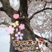 ヒメ日記 2025/04/07 12:04 投稿 りこ♡ パリス雄琴店