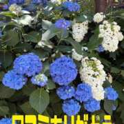 ヒメ日記 2025/06/07 09:25 投稿 りこ♡ パリス雄琴店