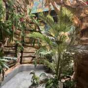 ヒメ日記 2025/04/11 16:16 投稿 ふうか One More奥様　町田相模原店