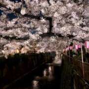 ヒメ日記 2026/04/05 13:18 投稿 ふうか One More奥様　町田相模原店