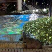 氷室はづき はづき??待機_( ???? _ )チョコン中。°(°`ω´ °)°。 五十路マダムエクスプレス船橋店(カサブランカグループ)