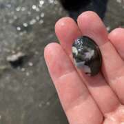 ヒメ日記 2026/03/25 10:16 投稿 氷室はづき 五十路マダムエクスプレス船橋店(カサブランカグループ)