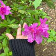 ヒメ日記 2026/04/23 12:28 投稿 氷室はづき 五十路マダムエクスプレス船橋店(カサブランカグループ)