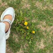 ヒメ日記 2026/04/24 13:28 投稿 氷室はづき 五十路マダムエクスプレス船橋店(カサブランカグループ)