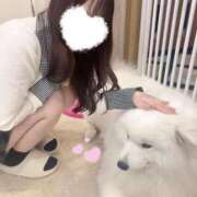 ヒメ日記 2025/10/19 13:21 投稿 えま 秋葉原コスプレ学園(AKG)