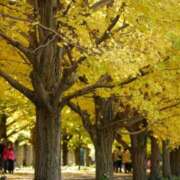 ヒメ日記 2024/12/07 14:12 投稿 さと 渋谷 風俗 奥様発情の会