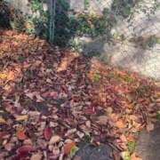 ヒメ日記 2024/12/11 07:33 投稿 さと 渋谷 風俗 奥様発情の会