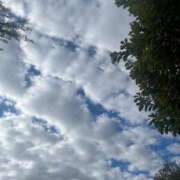 ヒメ日記 2024/12/11 17:46 投稿 さと 渋谷 風俗 奥様発情の会