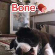 ヒメ日記 2024/12/12 13:20 投稿 さと 渋谷 風俗 奥様発情の会