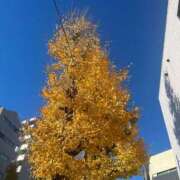 ヒメ日記 2024/12/17 09:53 投稿 さと 渋谷 風俗 奥様発情の会