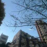 ヒメ日記 2024/12/24 06:31 投稿 さと 渋谷 風俗 奥様発情の会