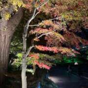 ヒメ日記 2024/12/26 23:56 投稿 さと 渋谷 風俗 奥様発情の会