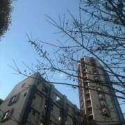 ヒメ日記 2024/12/30 07:54 投稿 さと 渋谷 風俗 奥様発情の会