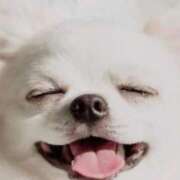 ヒメ日記 2024/12/30 10:48 投稿 さと 渋谷 風俗 奥様発情の会