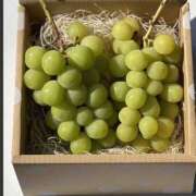 ヒメ日記 2025/01/28 00:01 投稿 さと 渋谷 風俗 奥様発情の会